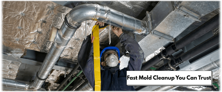 Air Duct Mold Removal in Atlanta
