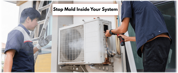 HVAC Mold Removal Atlanta